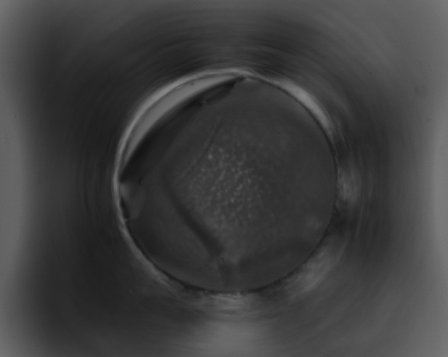X0000095670959200801081206