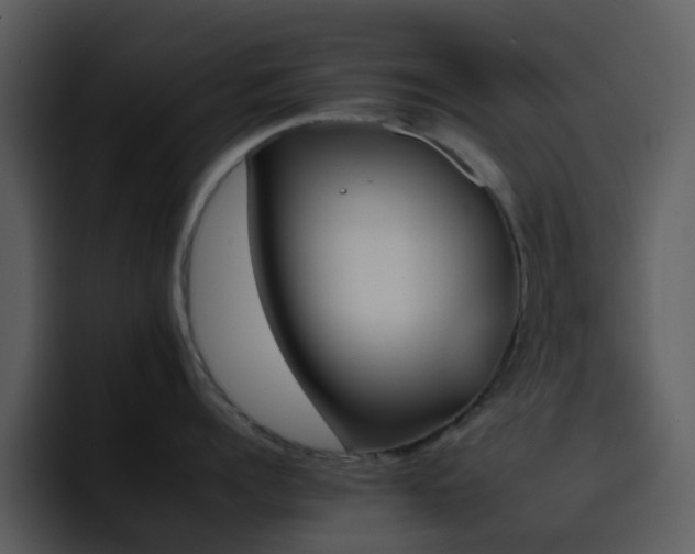 X0000095670960200801081206
