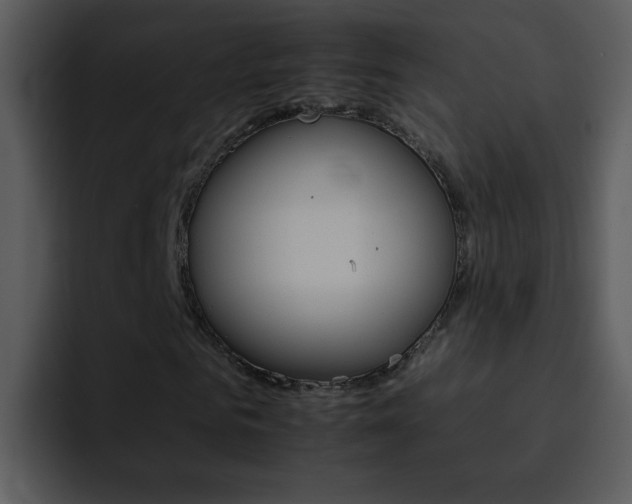 X0000095670961200801081205