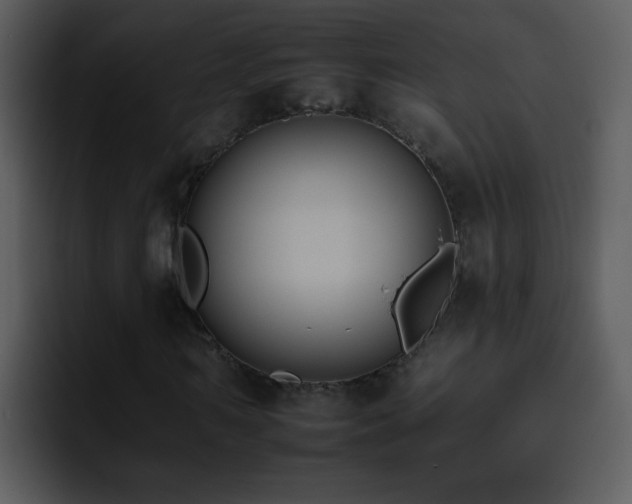 X0000095670962200801081205