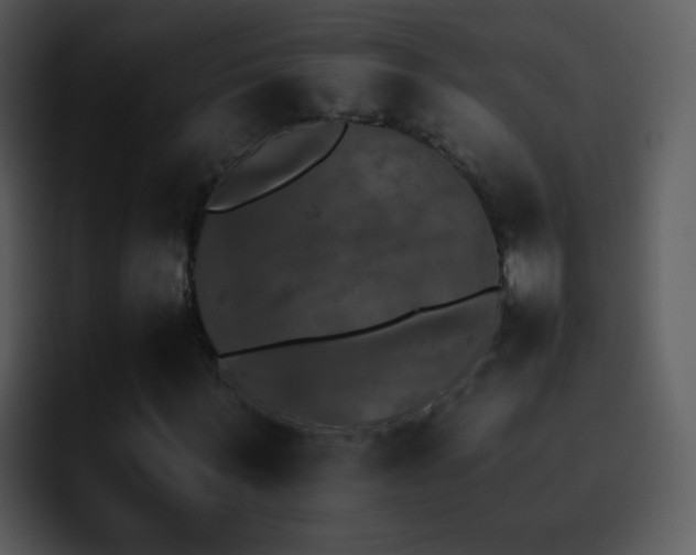 X0000095670963200801081205