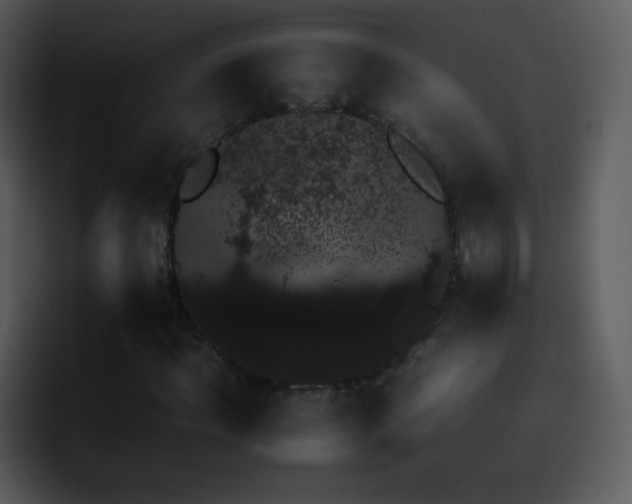 X0000095670964200801081205