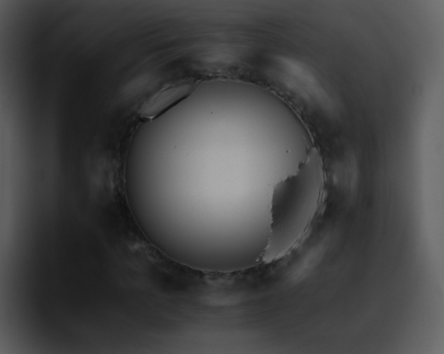 X0000095670965200801081205