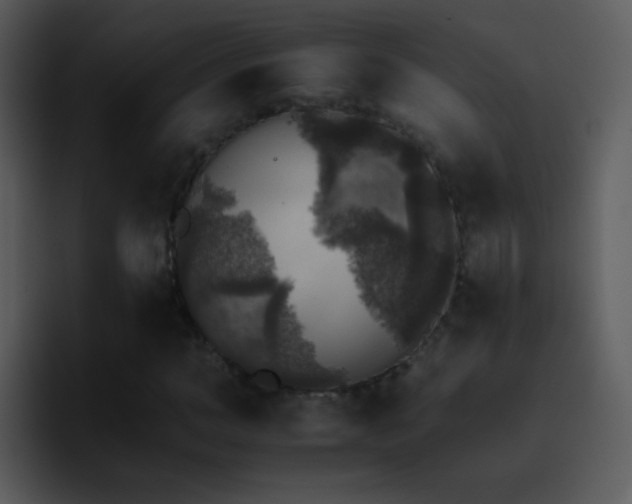 X0000095670966200801081205