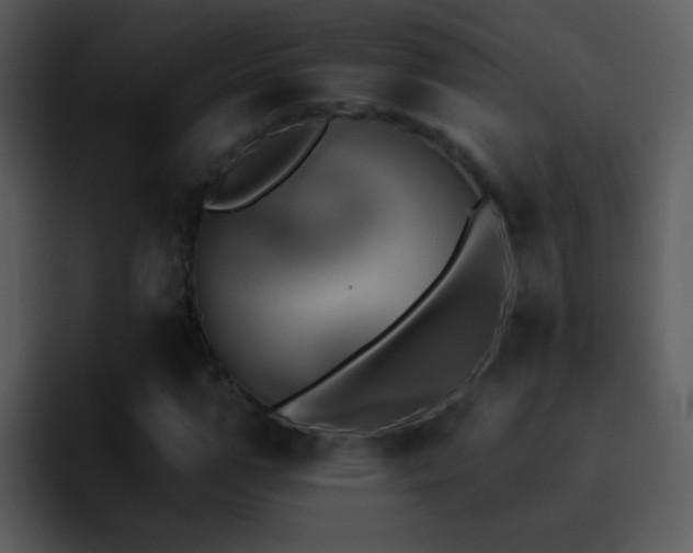X0000095670967200801081205