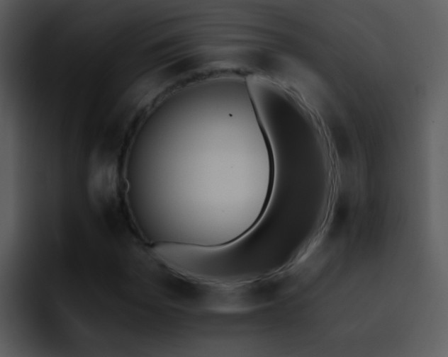 X0000095670969200801081205