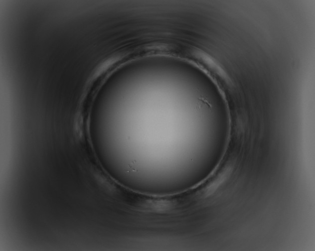 X0000095670970200801081205