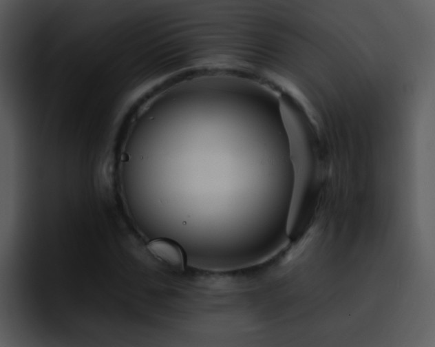 X0000095670971200801081205