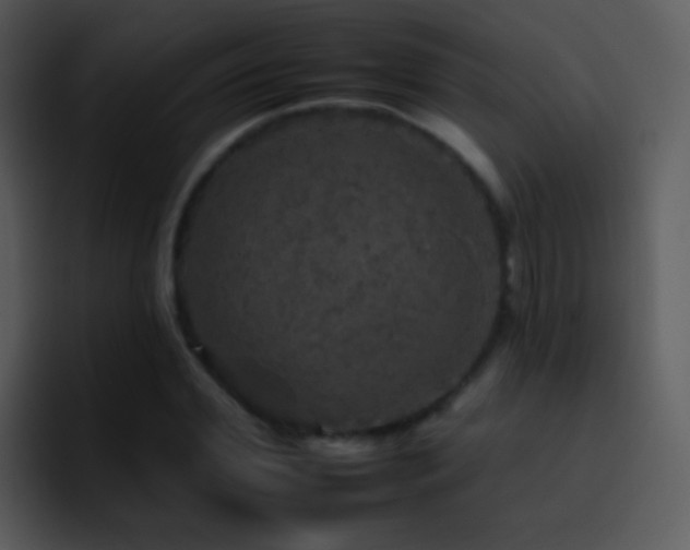 X0000095670972200801081205