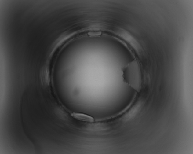 X0000095670973200801081205