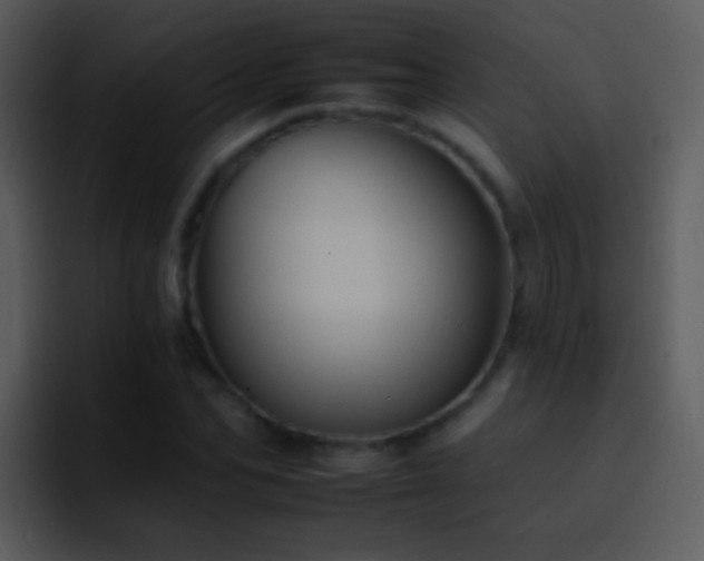 X0000095670974200801081205