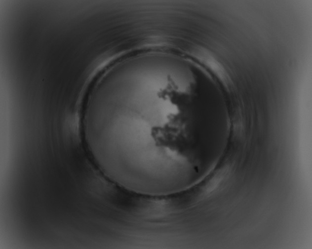 X0000095670975200801081205