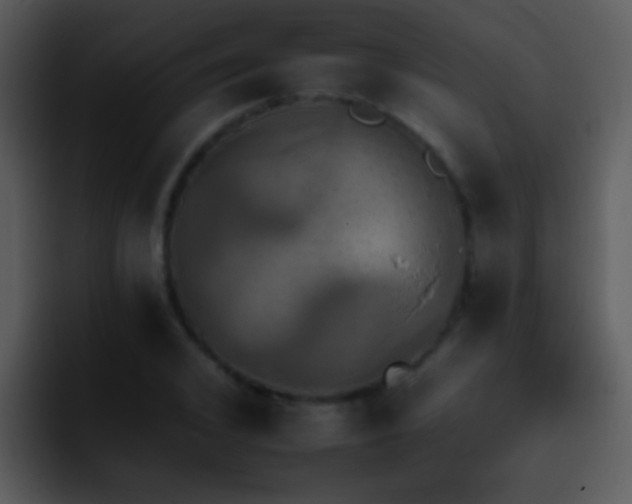 X0000095670976200801081205