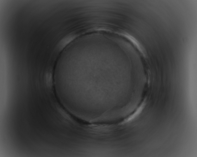 X0000095670977200801081205