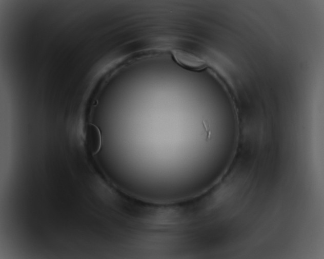 X0000095670979200801081205