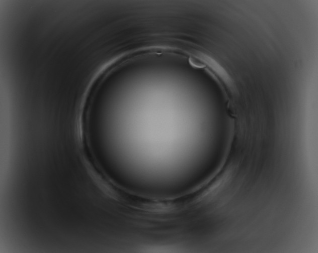X0000095670980200801081205