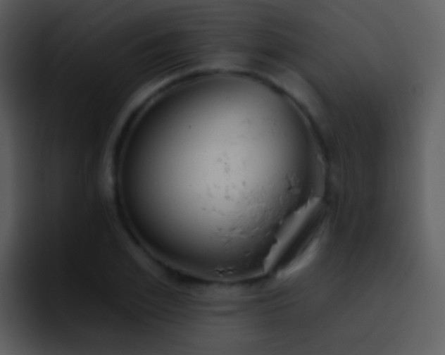 X0000095670981200801081205