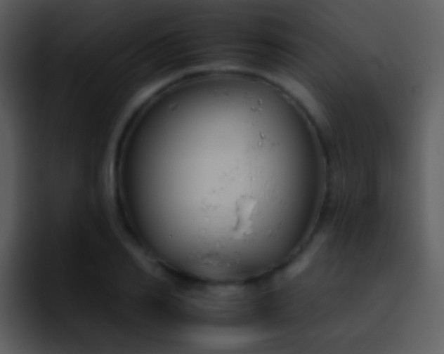 X0000095670982200801081205