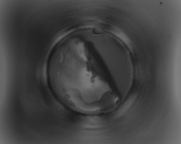 X0000095670983200801081205