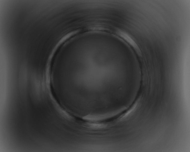 X0000095670984200801081205