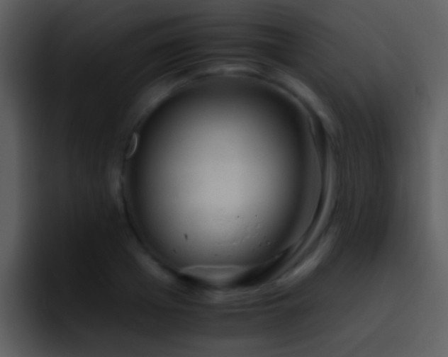 X0000095670985200801081205