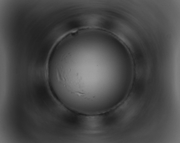 X0000095670988200801081205