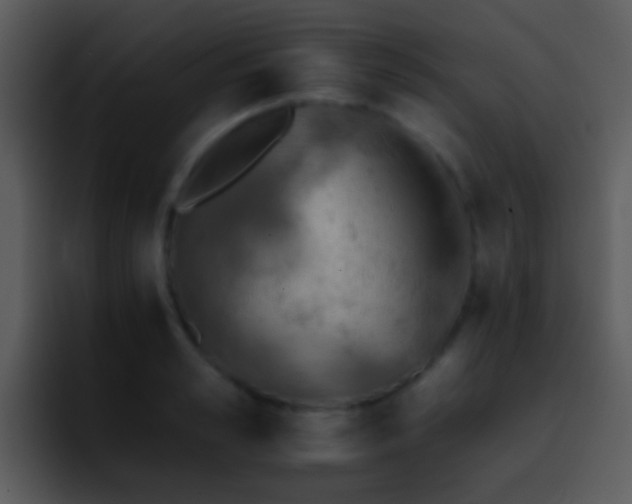 X0000095670989200801081205