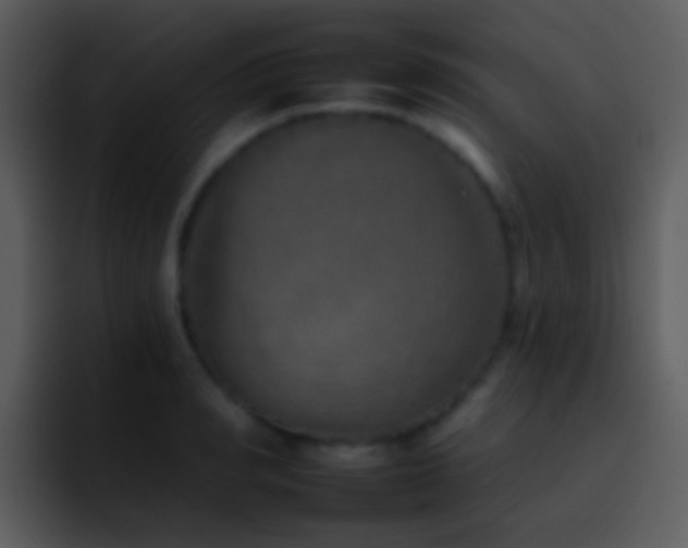 X0000095670990200801081205