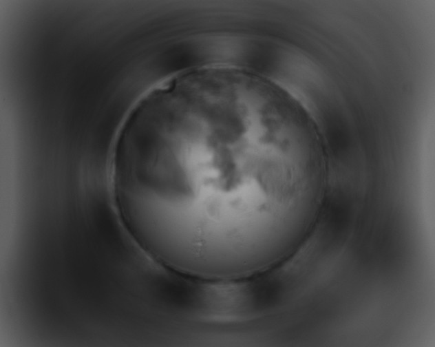 X0000095670992200801081205