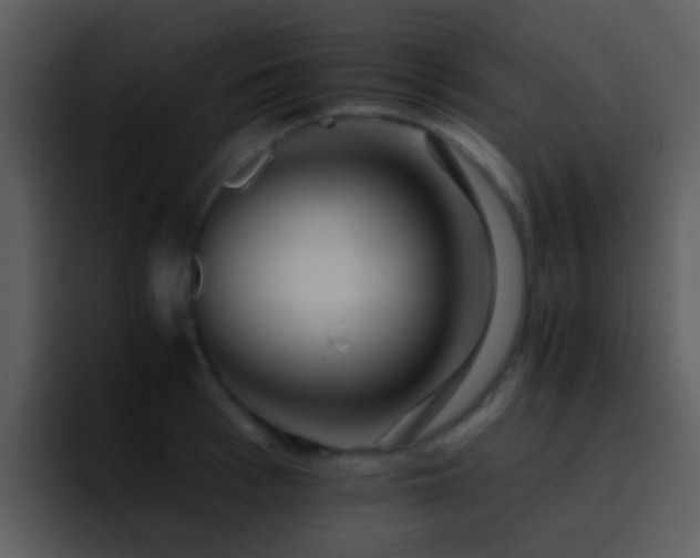 X0000095670993200801081205