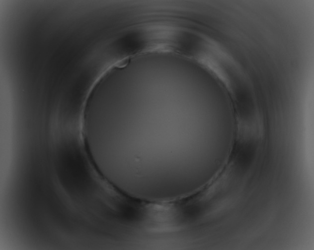 X0000095670994200801081205