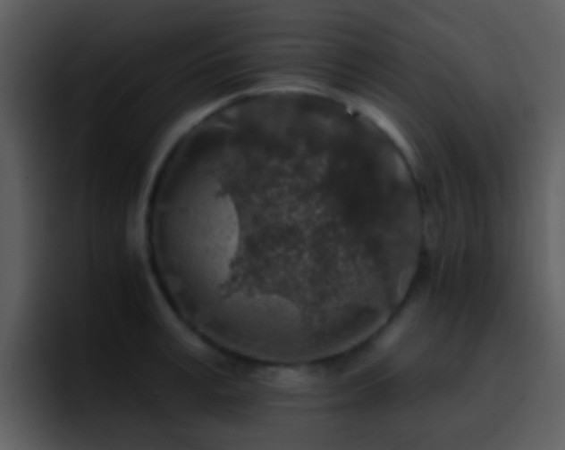 X0000095670995200801081205