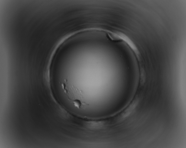 X0000095670996200801081205