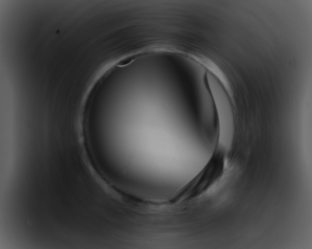 X0000095670997200801081205