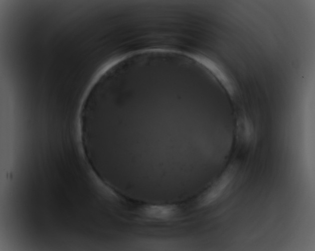 X0000095670998200801081205