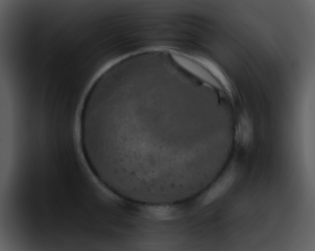 X0000095670999200801081205