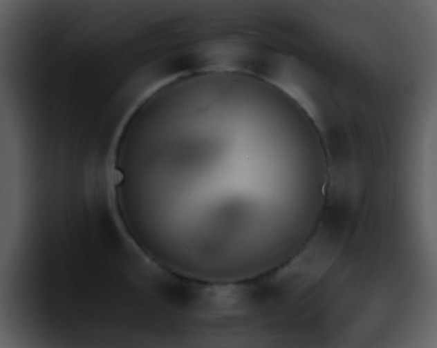 X0000095671000200801081205