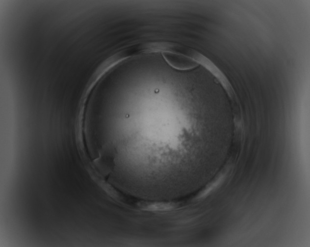 X0000095671002200801081205