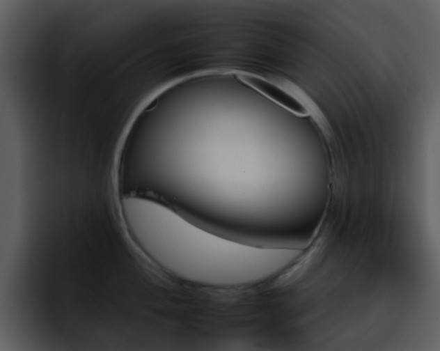 X0000095671004200801081205