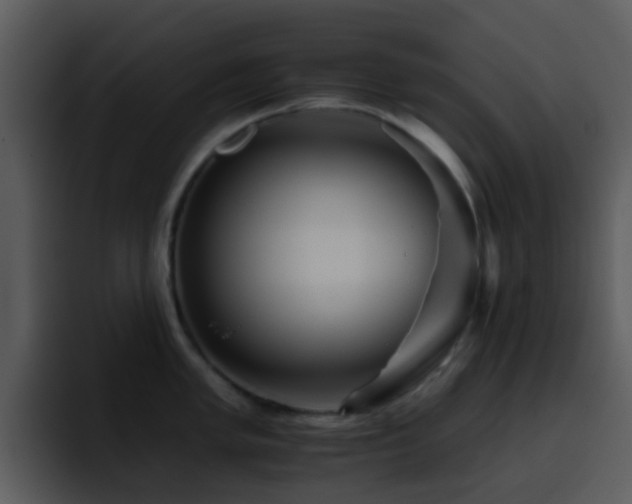 X0000095671005200801081205