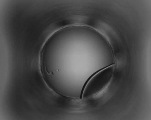 X0000095671006200801081205
