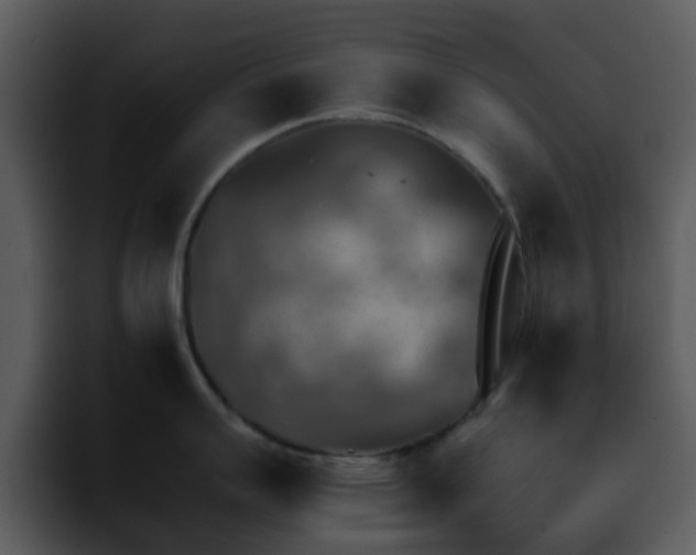 X0000095671007200801081205