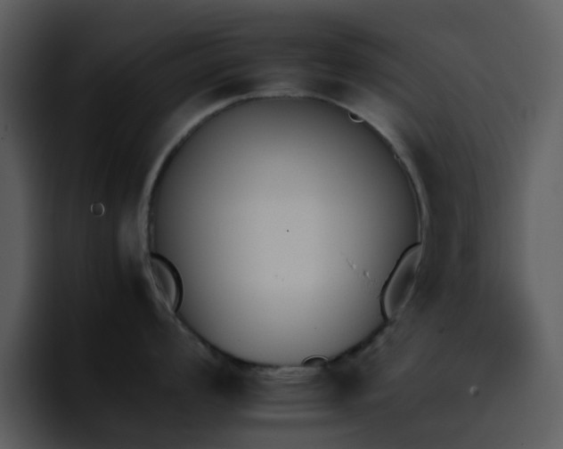 X0000095671008200801081205