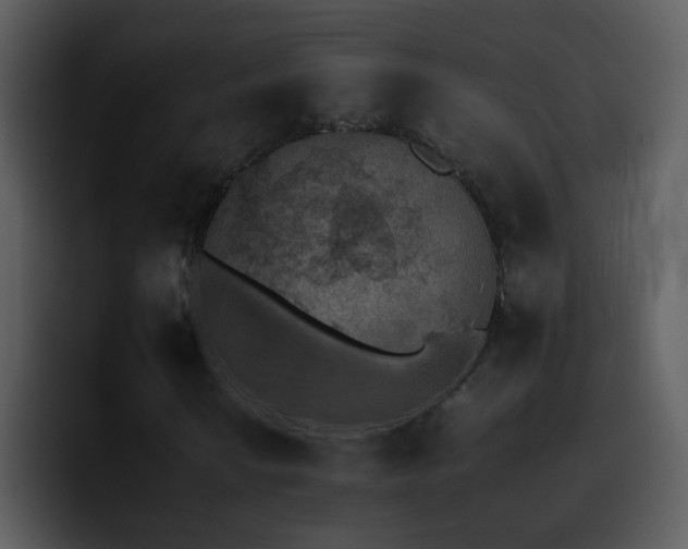 X0000095671010200801081204