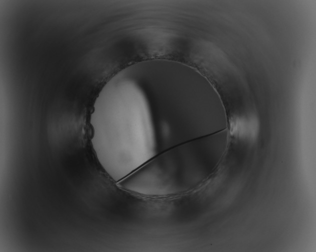 X0000095671011200801081204