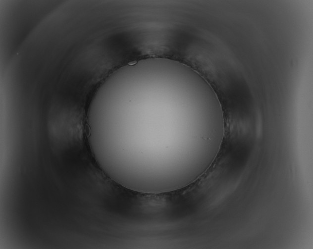 X0000095671012200801081204