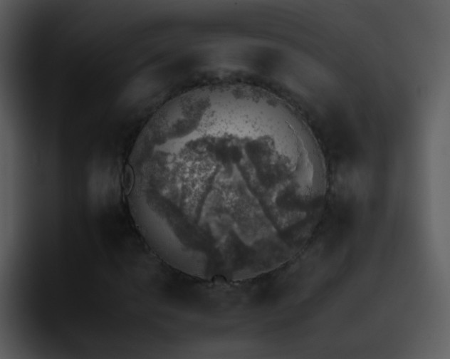 X0000095671014200801081204