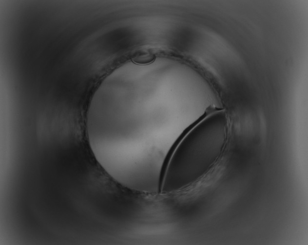 X0000095671015200801081204