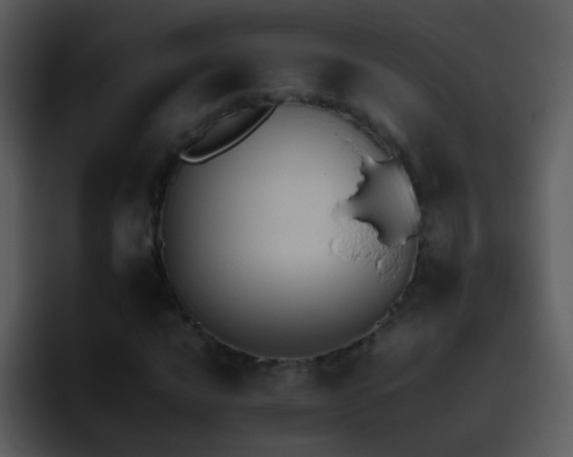 X0000095671016200801081204