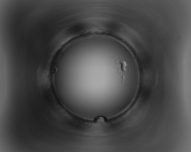 X0000095671018200801081204